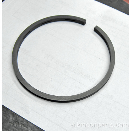 Động cơ Piston Ring 110